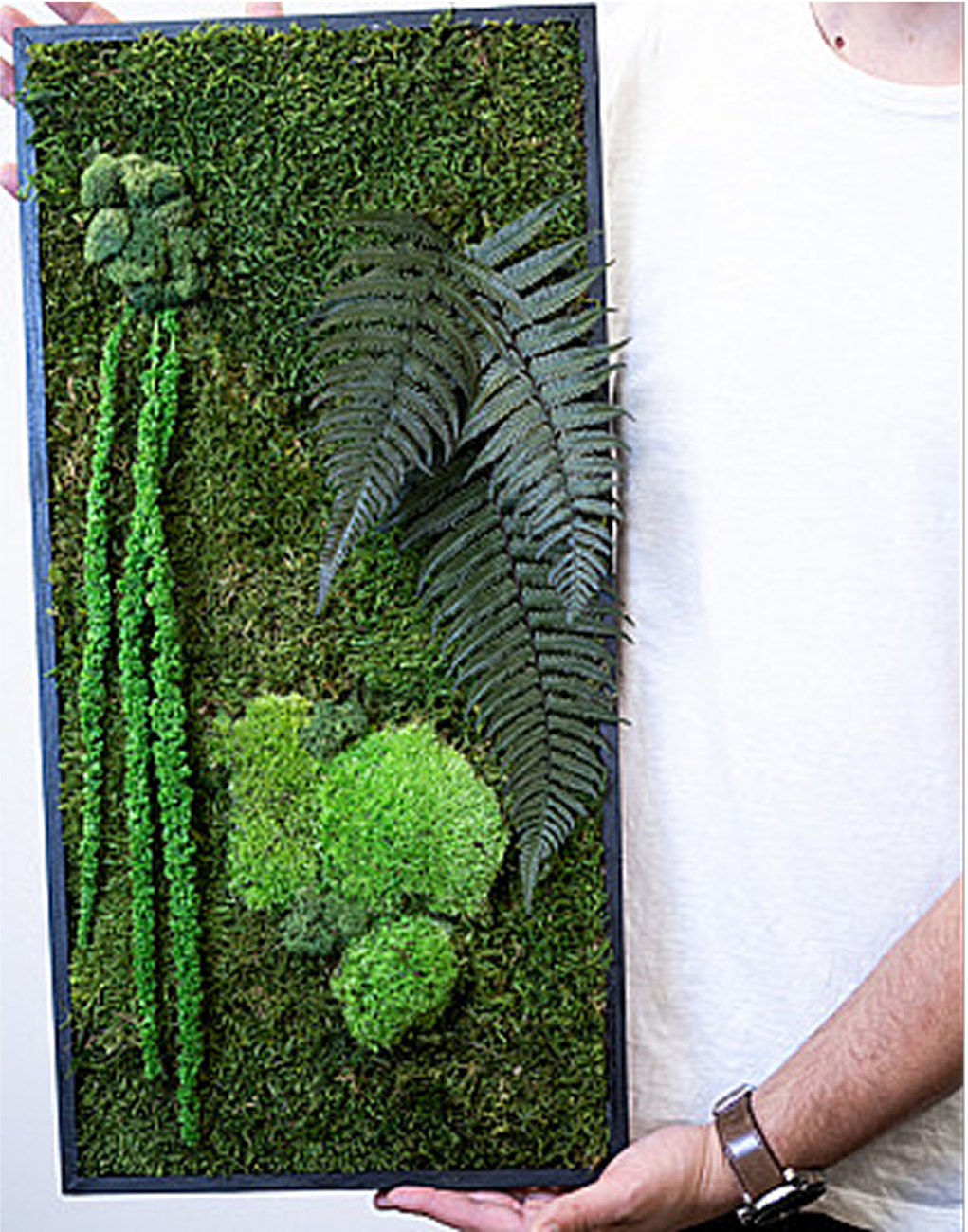Preserved moss panel
