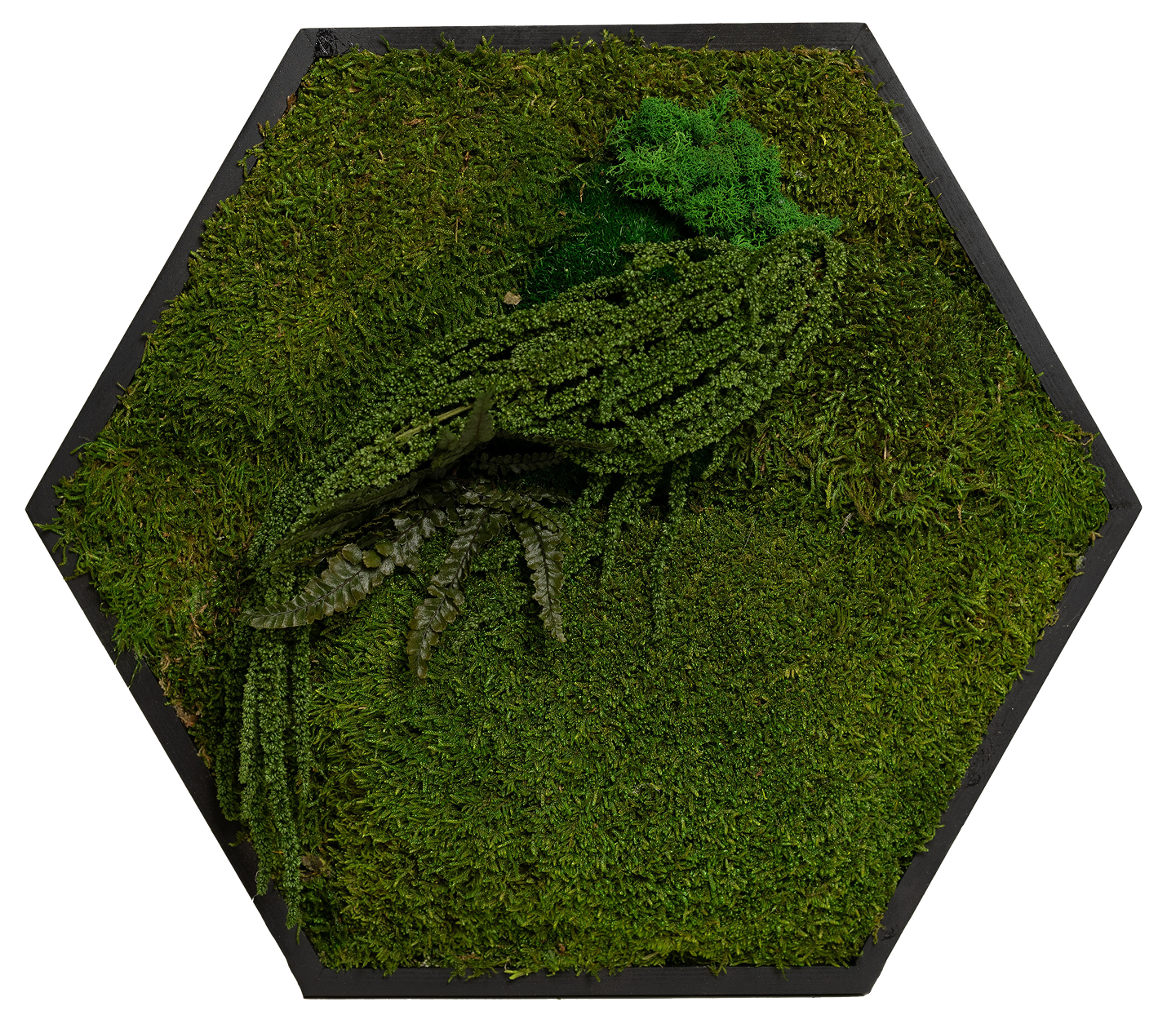 Hexagon moss art piece