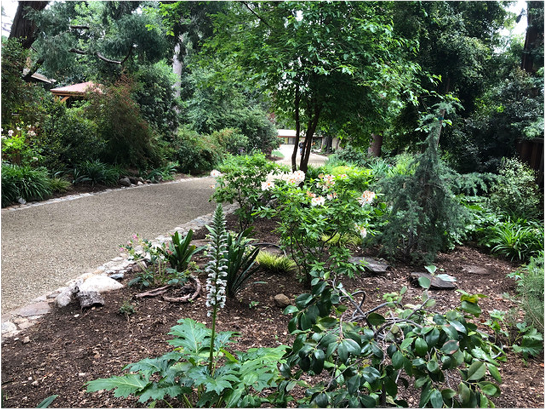 Park scene